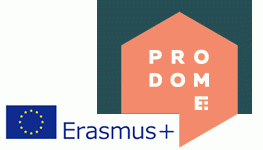 PROFESSIONNALISER LES TRAVAILLEURS DOMESTIQUES EN EUROPE : ENJEUX ET PROPOSITIONS